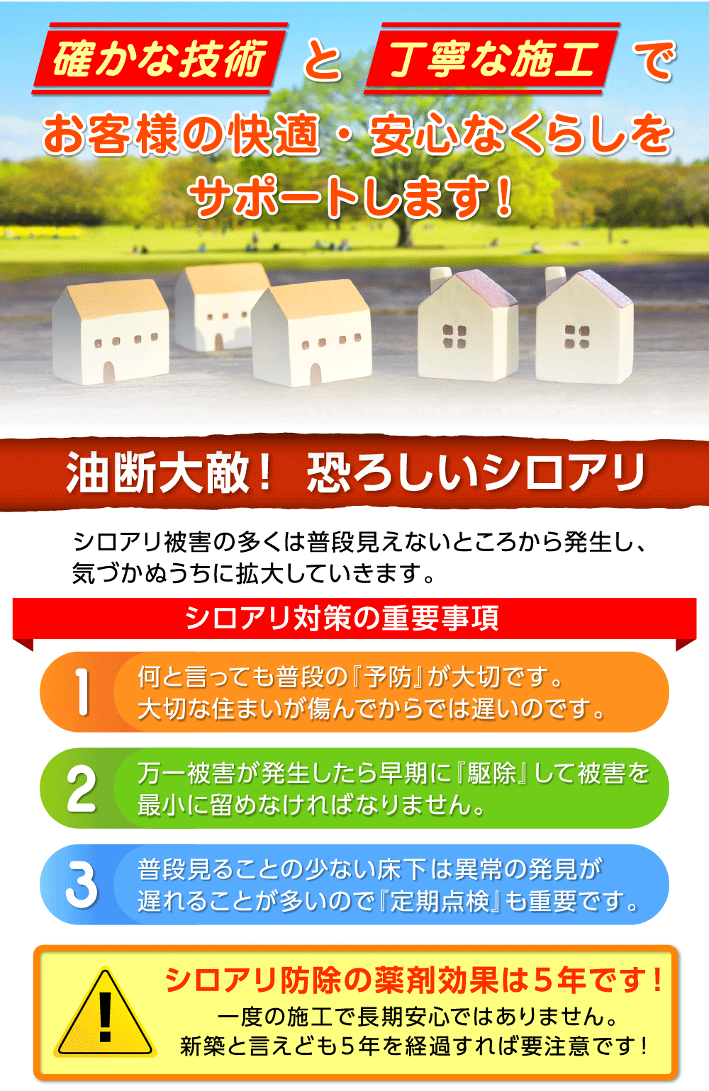 油断大敵！ 恐ろしいシロアリ