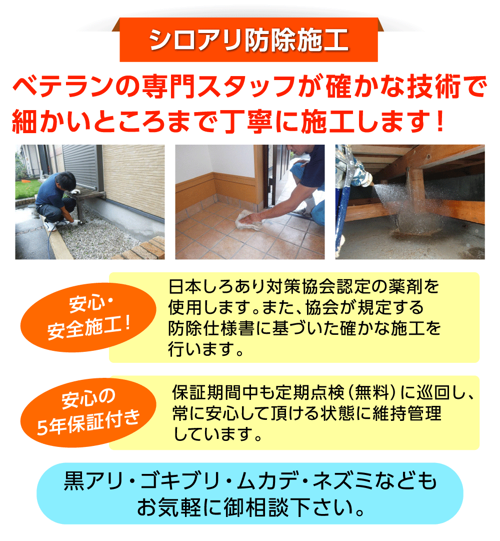 シロアリ防除施工